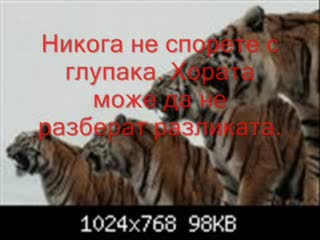 Мъдри Мисли