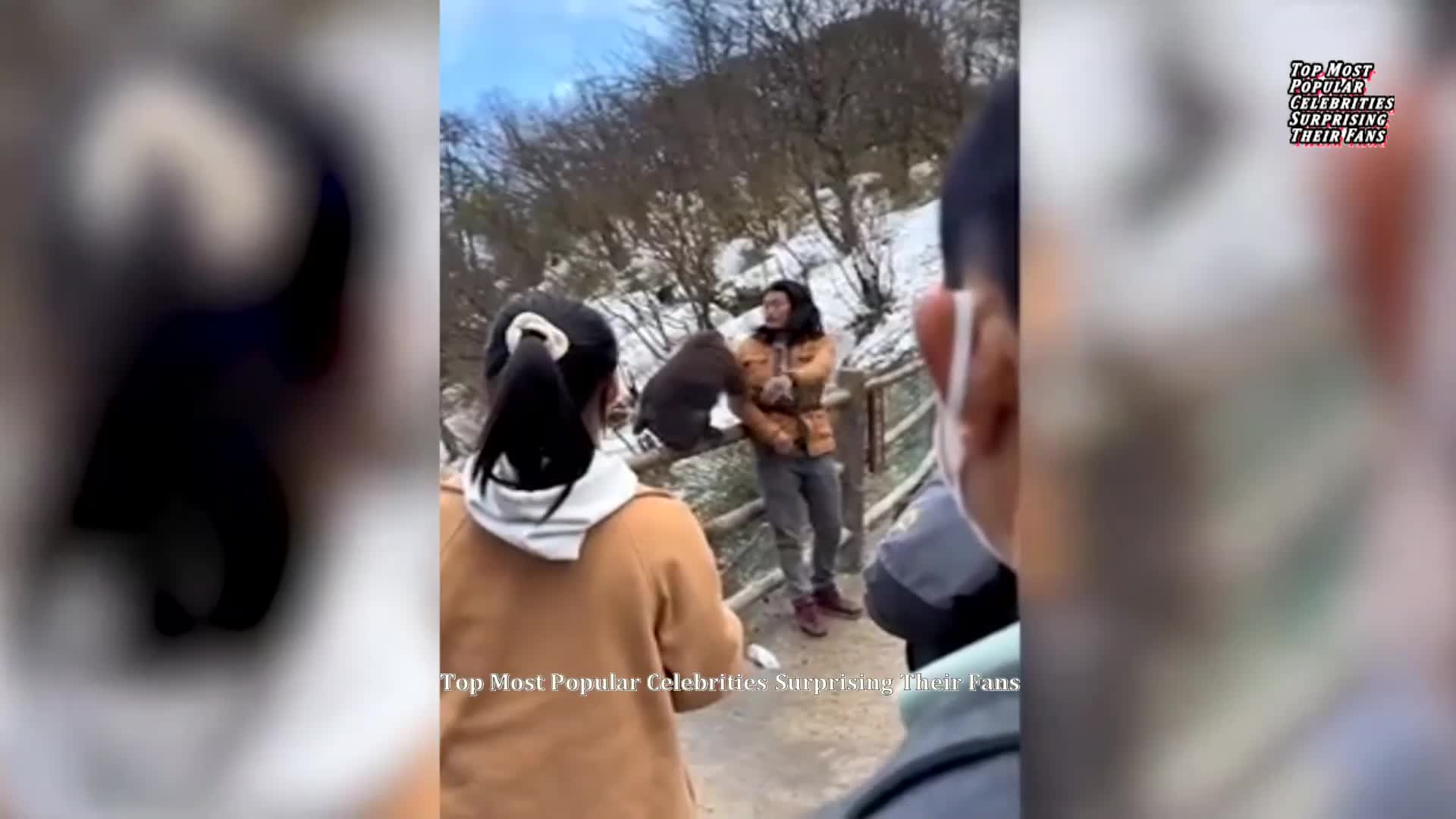 Eксперт по кунг-фу тръгна да се бие с тибетски маймуни