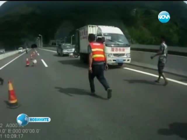 Полицаи гониха прасета по магистрала в Китай