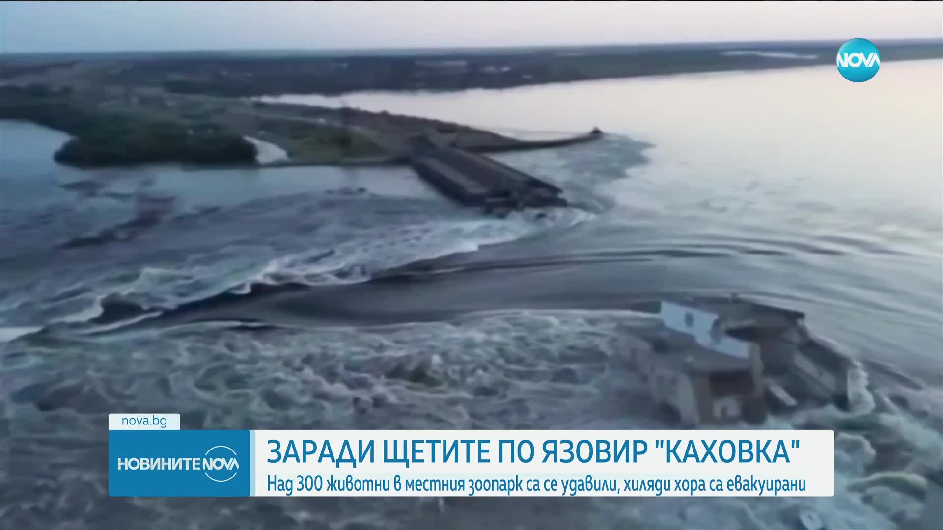 Слез взрива на „Каховка”: Над 300 удавени животни в местния зоопарк