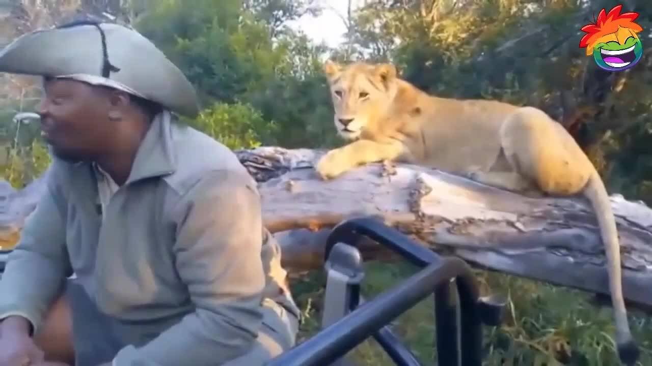 Големи и издънки и луд смях!