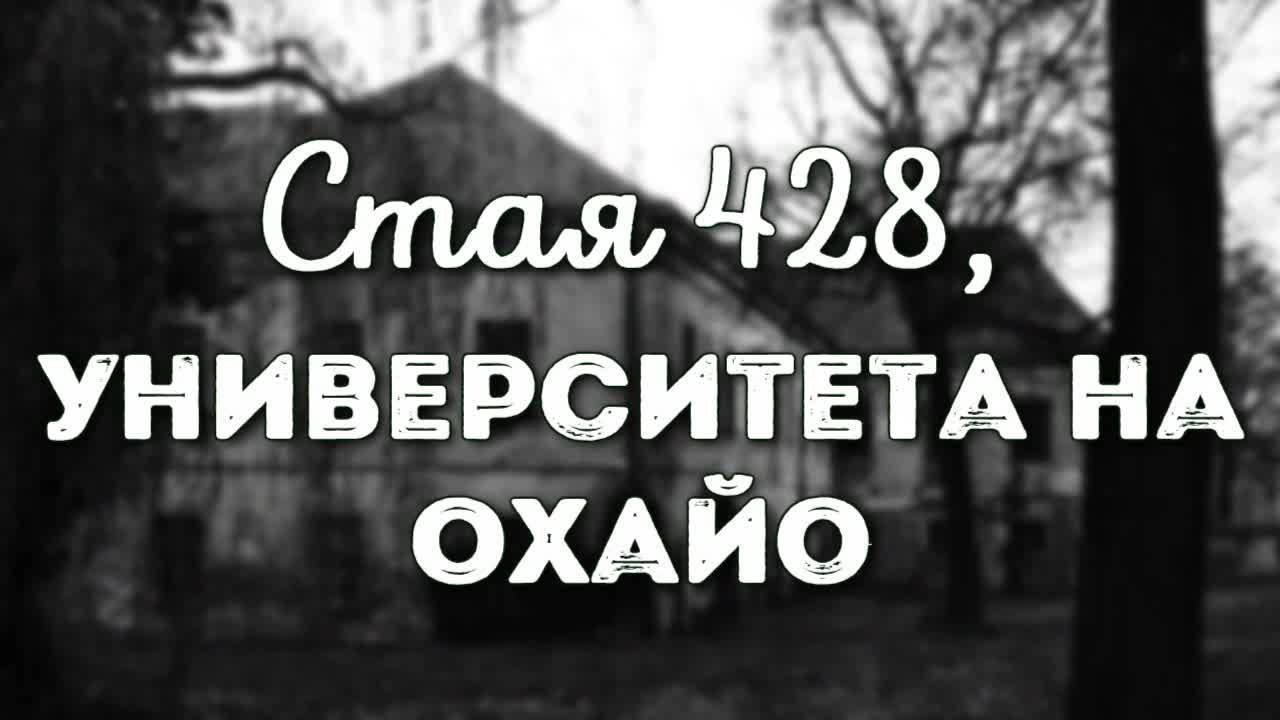 Стая 428, Университета на Охайо