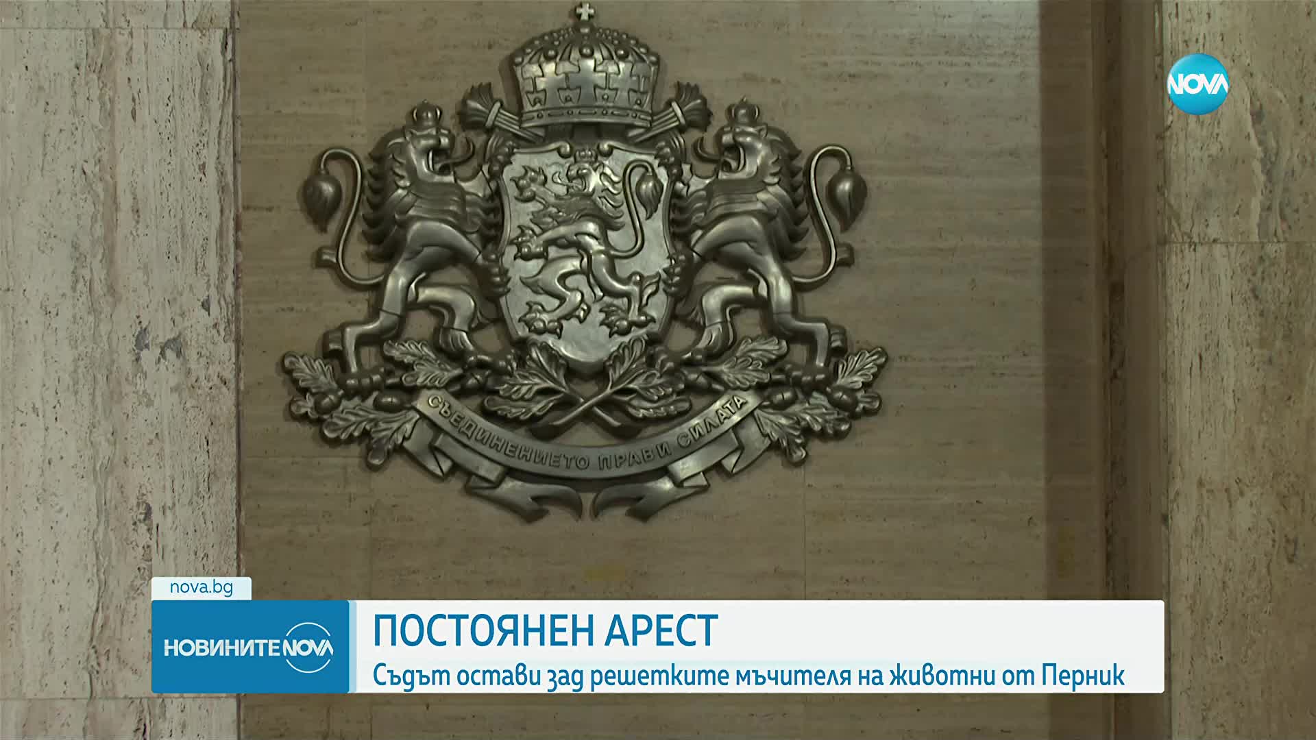 Постоянен арест за мъжа, обвинен в измъчване и убийства на животни
