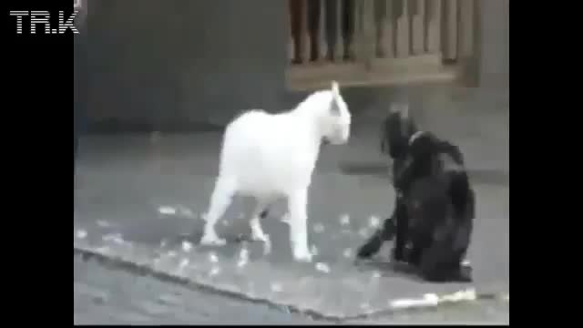 Много смешни fail compilation на January 2013 - Нечовешки Смях :d