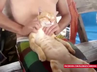 И котките обичат масаж