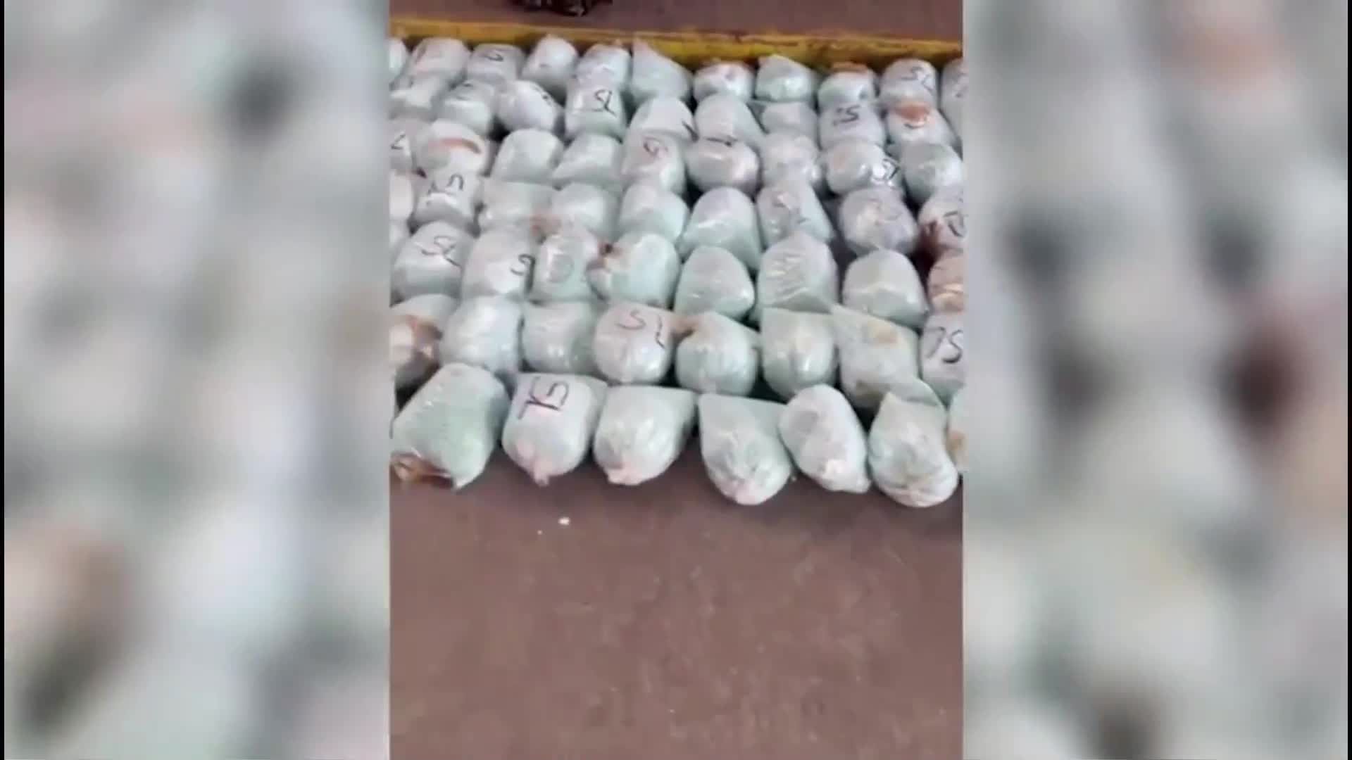 В Мексико заловиха 330 килограма таблетки фентанил, укрити в кокосови орехи (ВИДЕО)