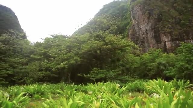 Maya Bay, Thailand - Един от най - красивите плажове в света 