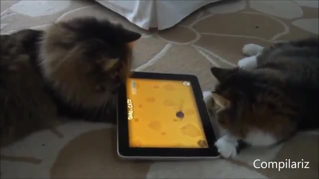 Модерни времена . Голямо копане пада! Животни се забавляват с Ipad
