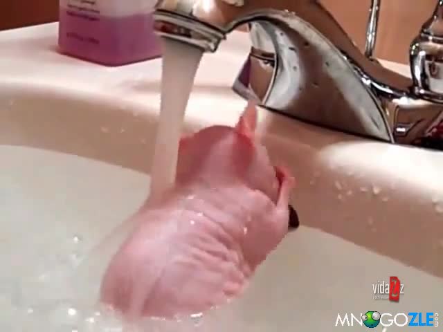 Розово нещо се къпе