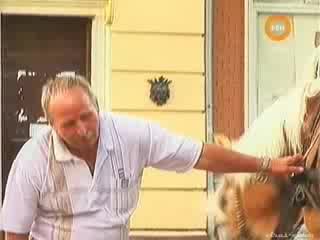 Дръж коня , не гледа под полата 