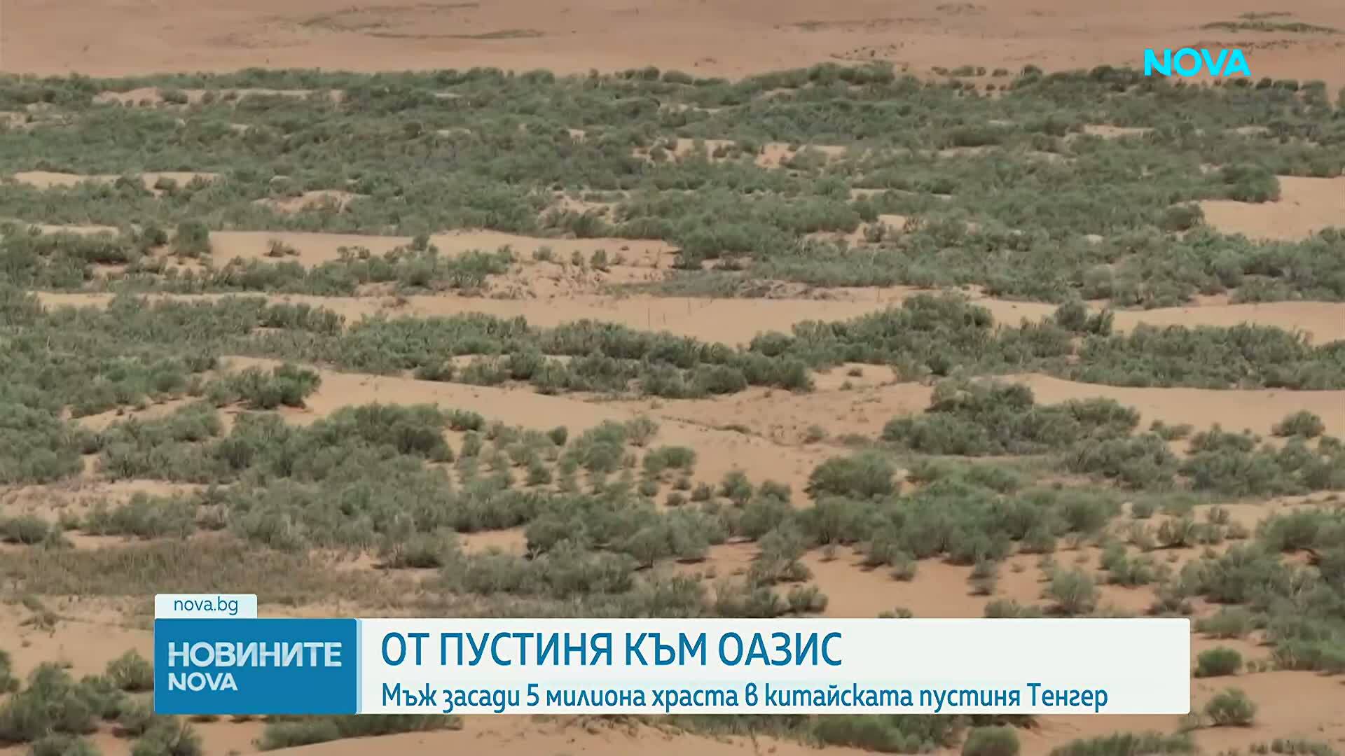 Зелена трансформация на пустинята Тангер