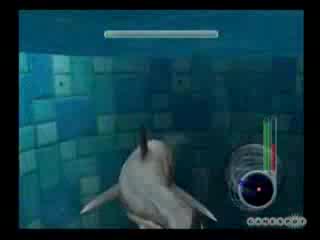 Челюсти Играта - Акулата Убива Косатка