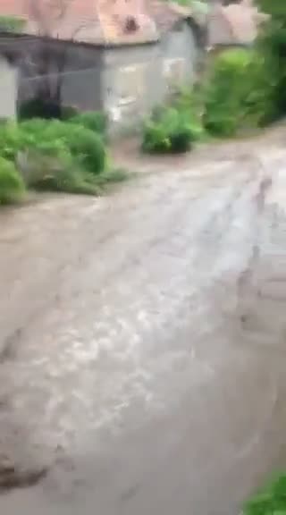 Село Подем
