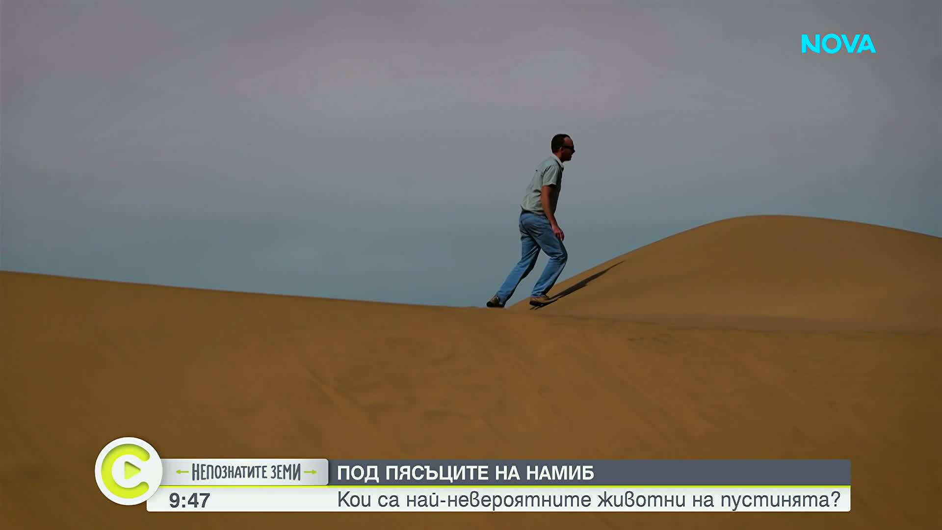 "Непознатите земи": Намибия - земя от пясък и цветове