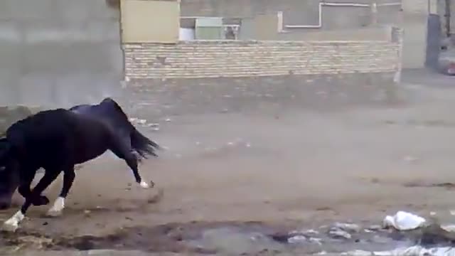 Духът на Свободата - 2