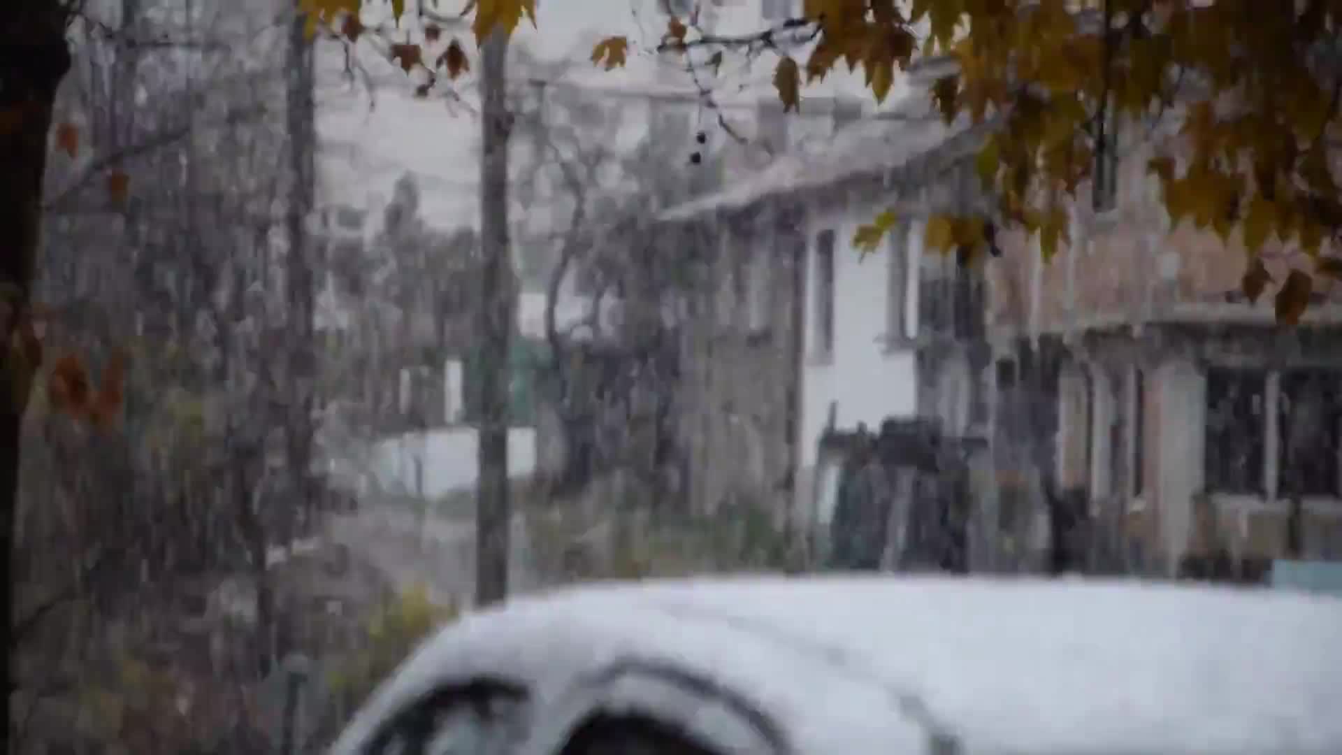 Снежно утро от Разград