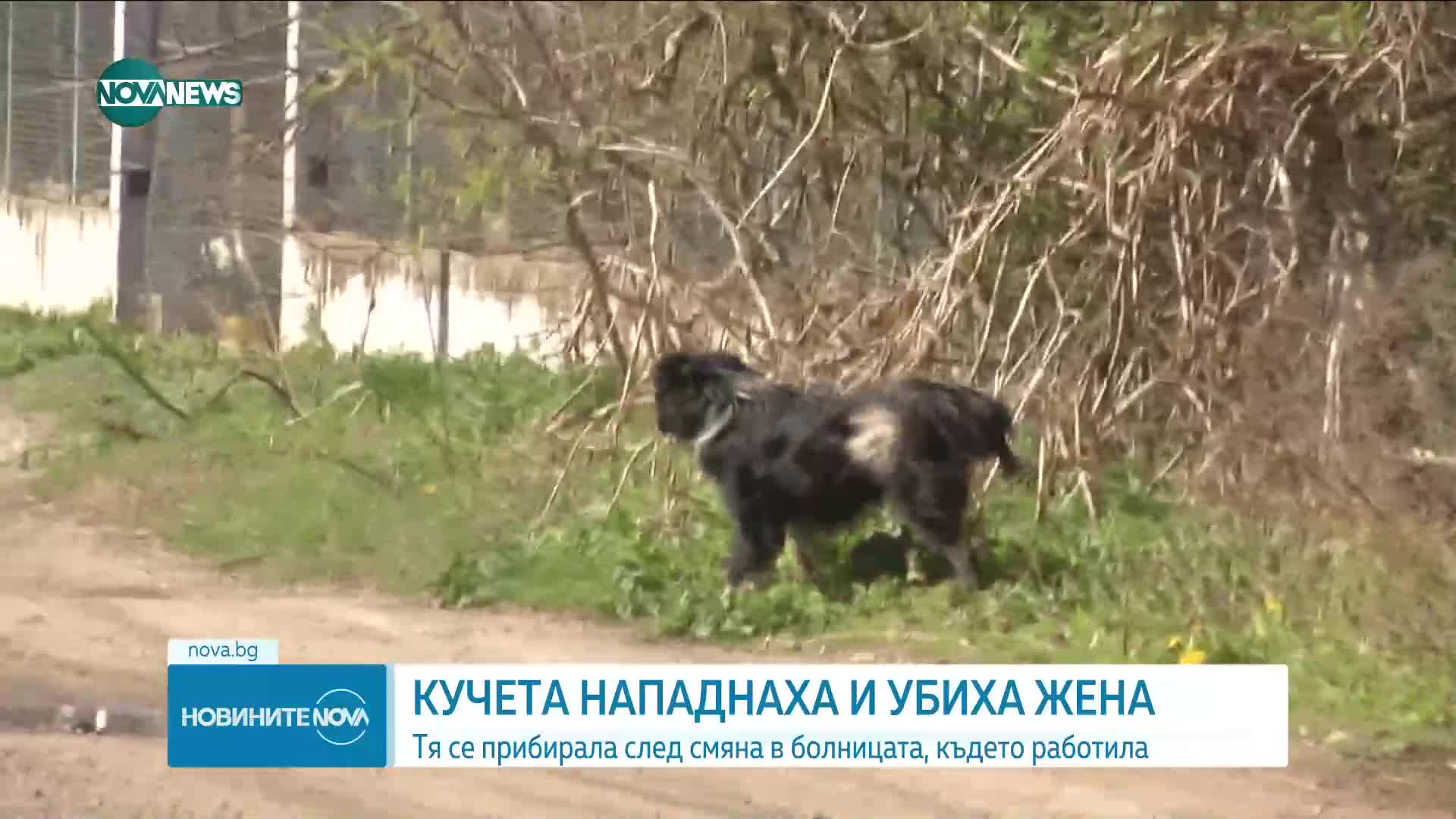 Новините на NOVA NEWS (30.03.2023 - 20:00)