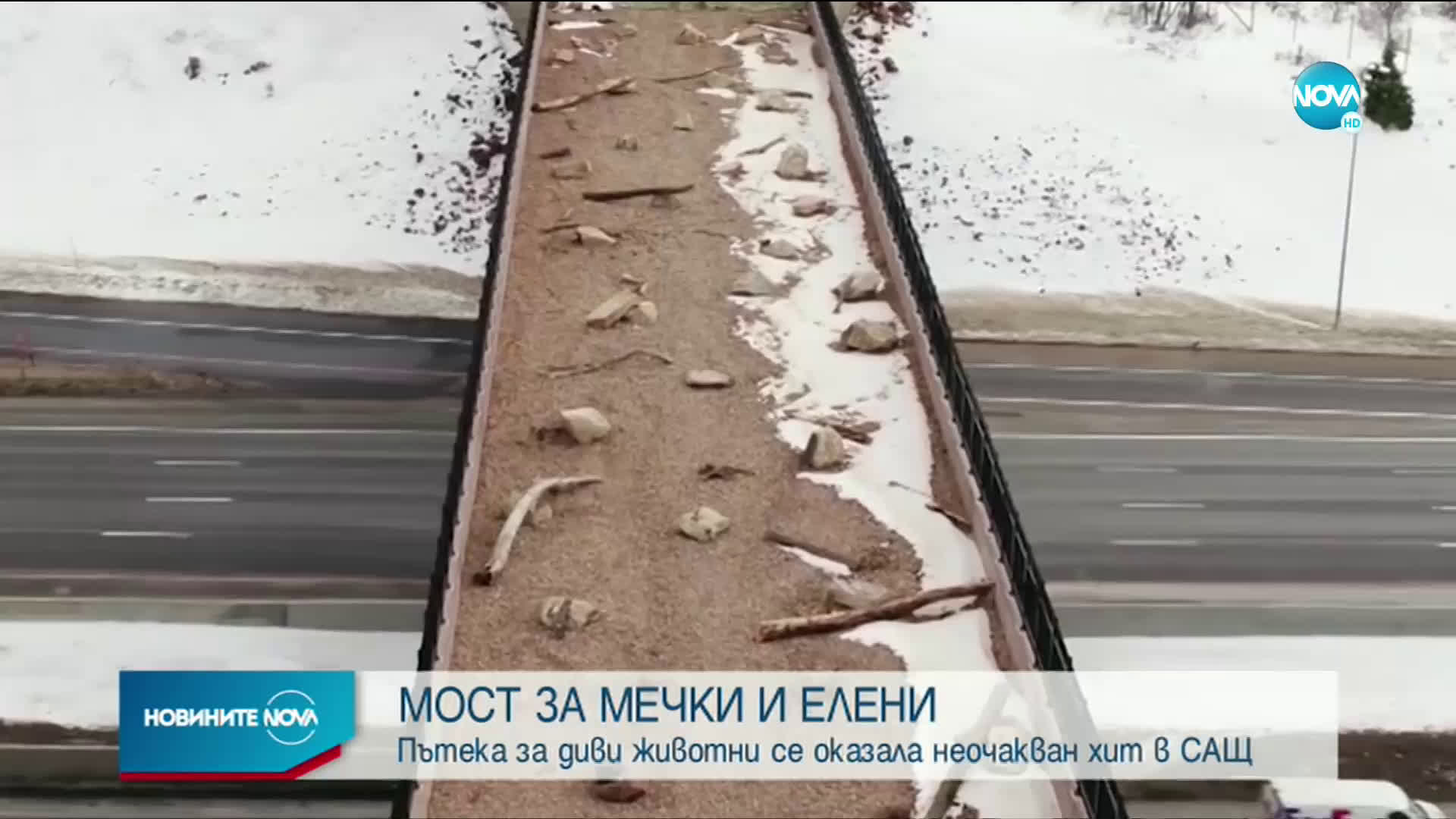 Мост за диви животни се оказа голям хит в САЩ