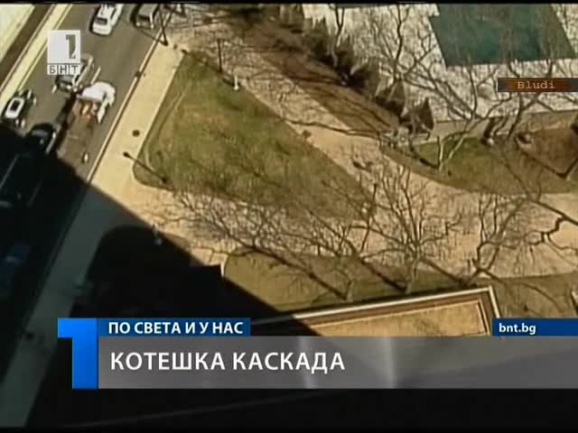 Котка падна от 19 етаж и оцеля дори без драскотина!