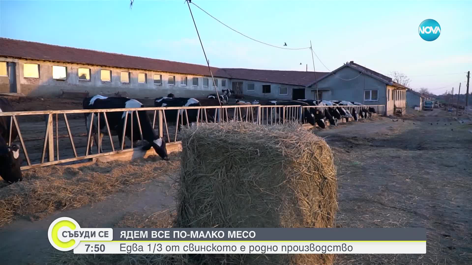 Федерацията на месопреработвателите: Само 1/3 от свинското месо у нас е българско