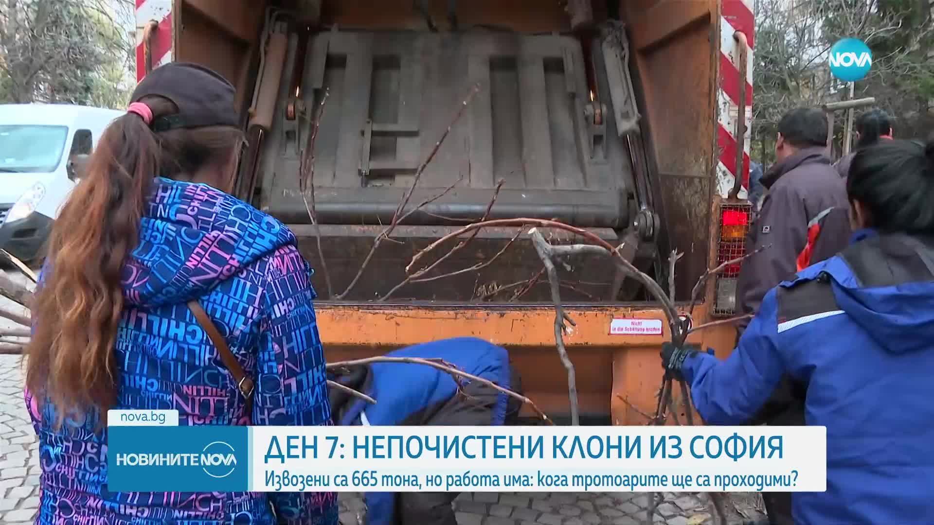 Седмица след снежната стихия: Непочистени клони из София