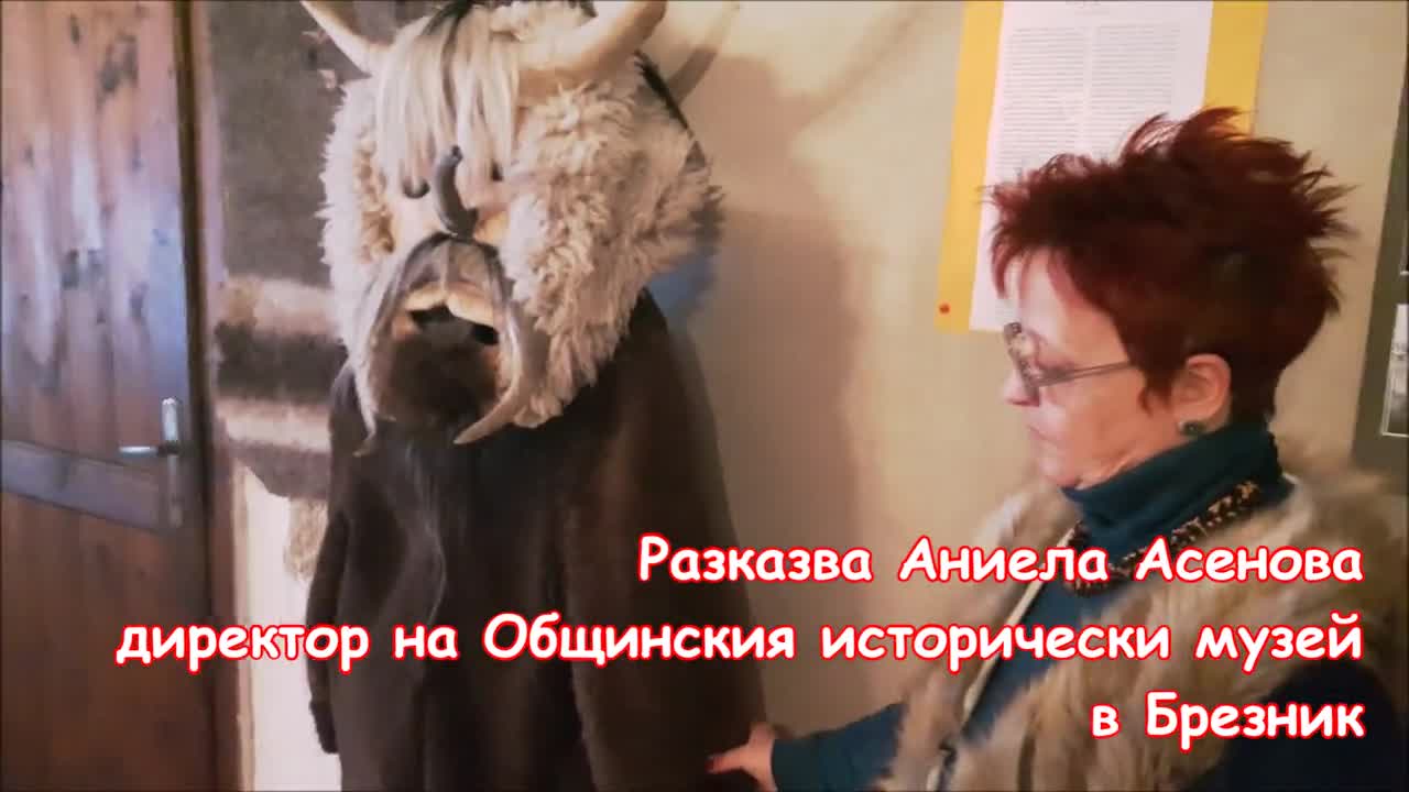 За историята на "Сурова" и сурвакарите