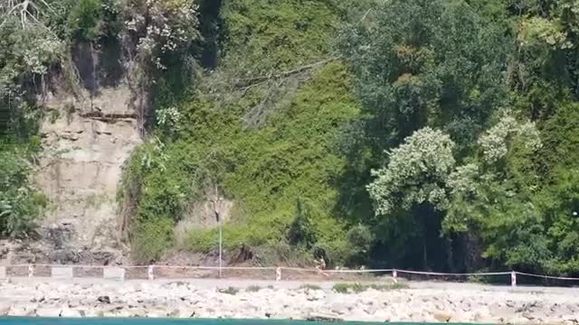 Изсякоха дървета по свлачището в Морската градина
