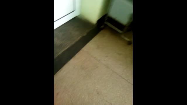 Мизерия в хирургично отделение в Пернишката болница