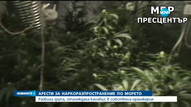 Арести за наркоразпространение по морето