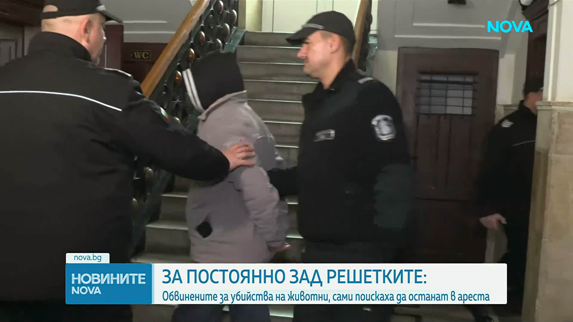 Мъжът и жената, обвинени в убийства на животни, остават за постоянно в ареста
