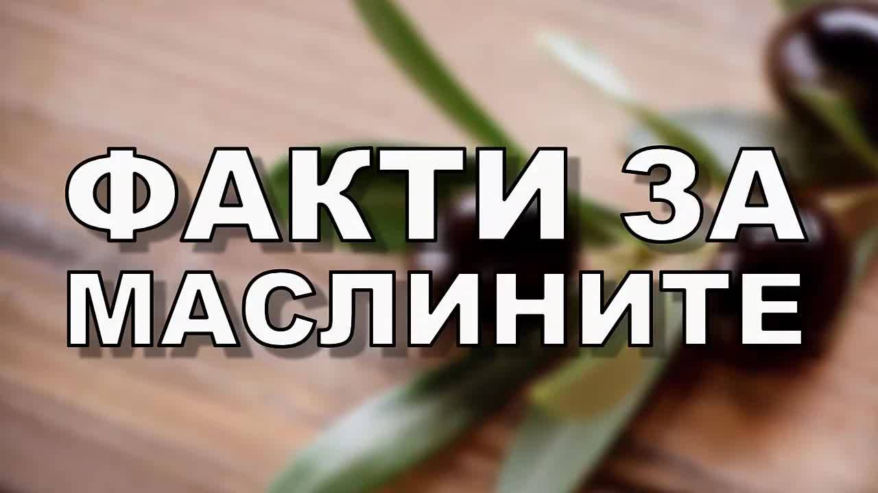 Факти за маслините