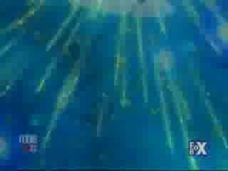Winx Club - Avril Lavigne - Complicated 