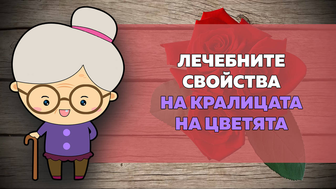 Най-лековитото цвете по нашите земи