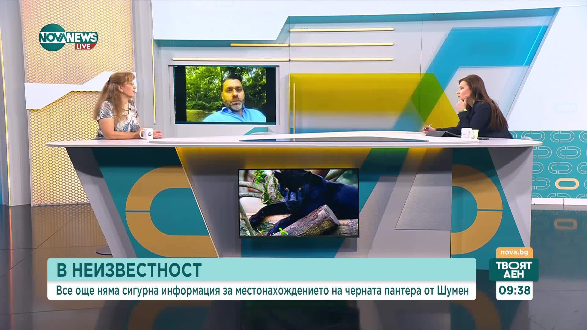 Къде е голямата черна котка