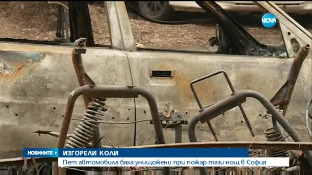 Новините на NOVA (27.02.2017 - централна)