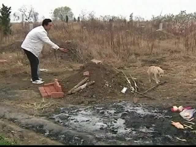 Куче тъгува за стопанина си край гроба му, отказва да си тръгне