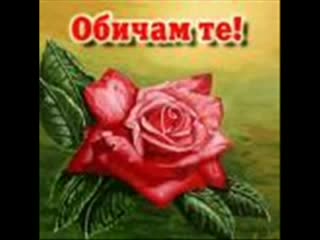 Историята На Една Истинска Любов