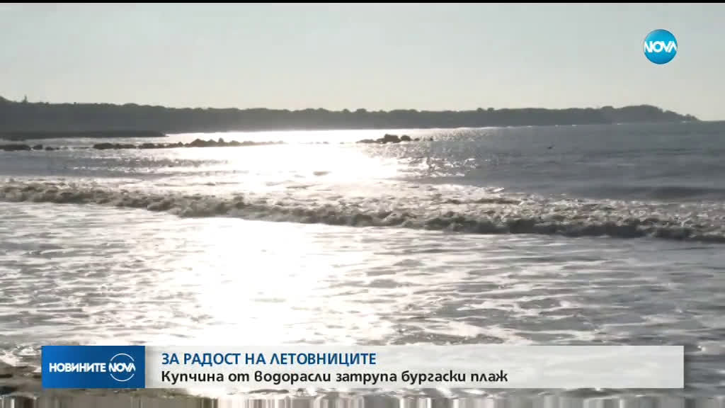 Новините на NOVA (01.08.2019 - обедна емисия)
