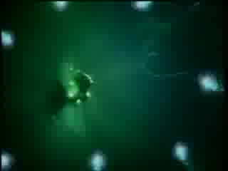 Scissor Sisters - Comfortably Numb