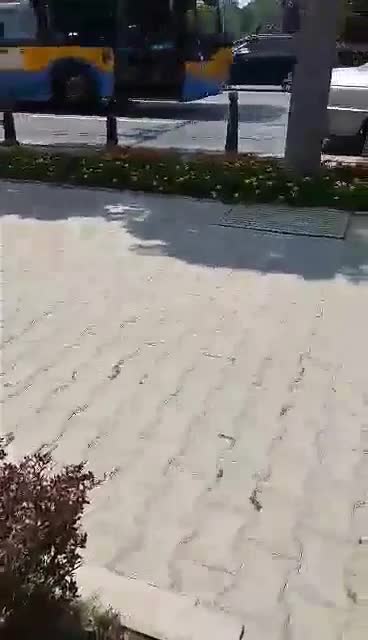 Шофьор кара на пешеходнa алея