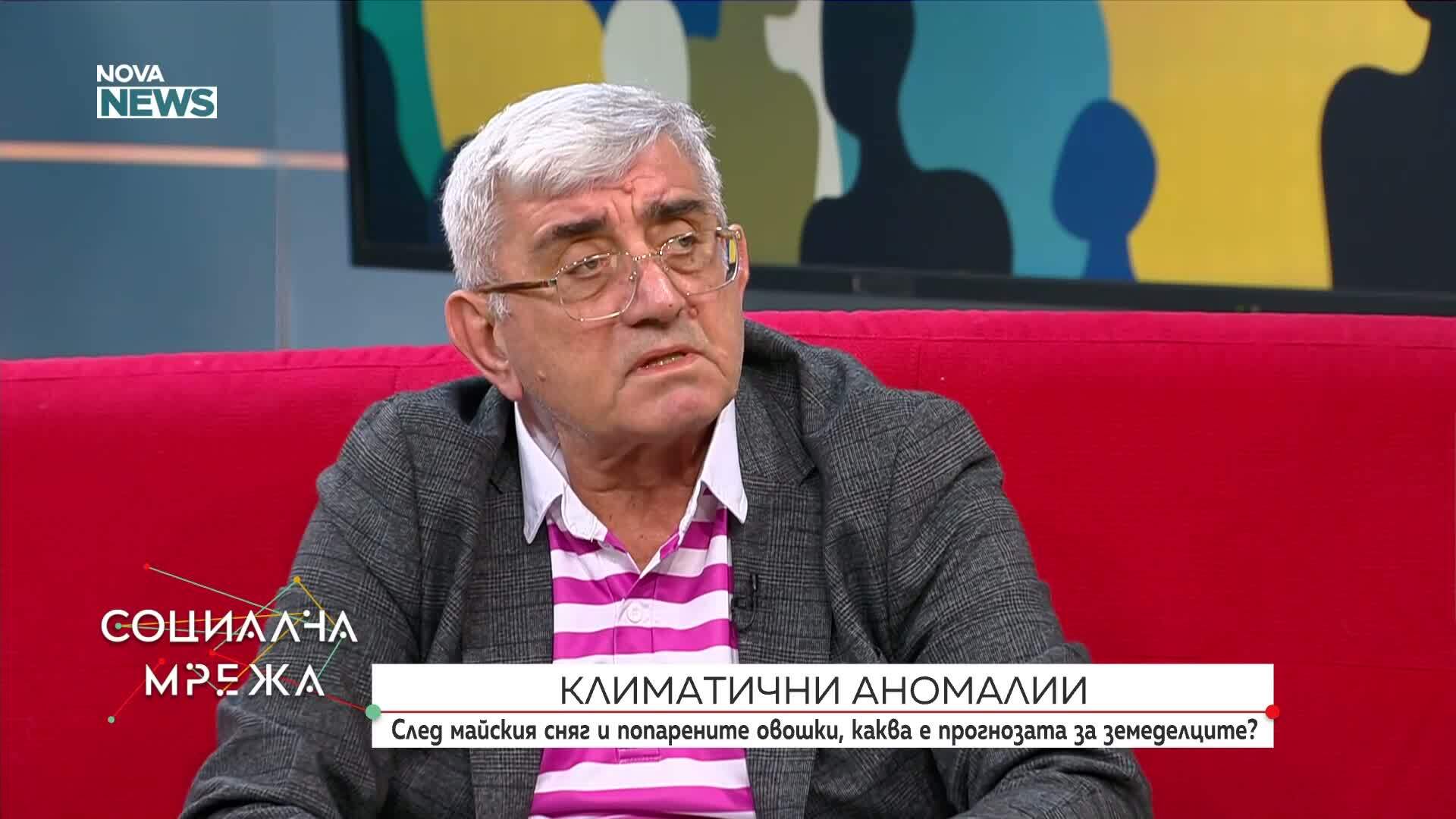 Климатичните аномалии: След майския сняг и измръзването на овошки, каква е прогнозата за земеделците