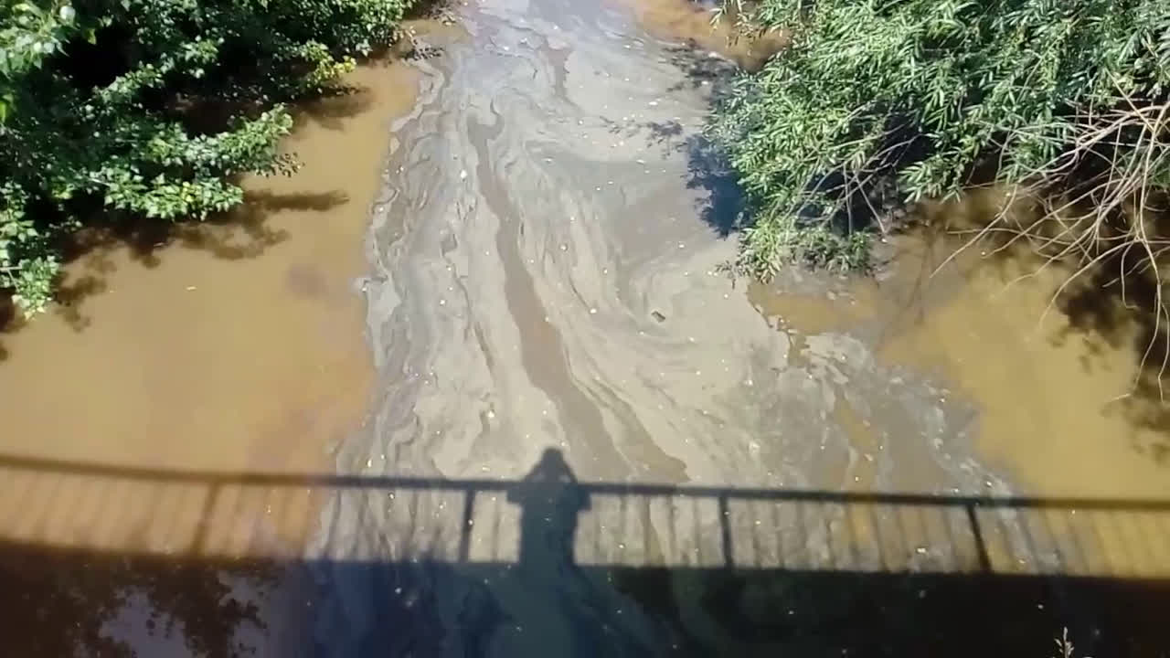 Екологията в Русенски Лом