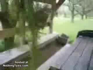 Смешни Животни