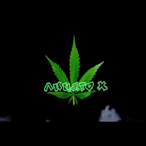 Лицето Х - Не се извинявам ( Eminem - No apologies)