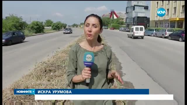 Новините на NOVA (03.06.2017 - обедна емисия)