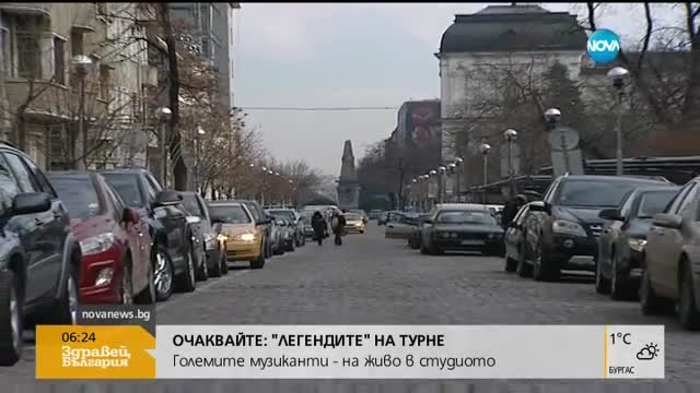 Активисти протестират срещу затварянето на бездомни животни в приюти