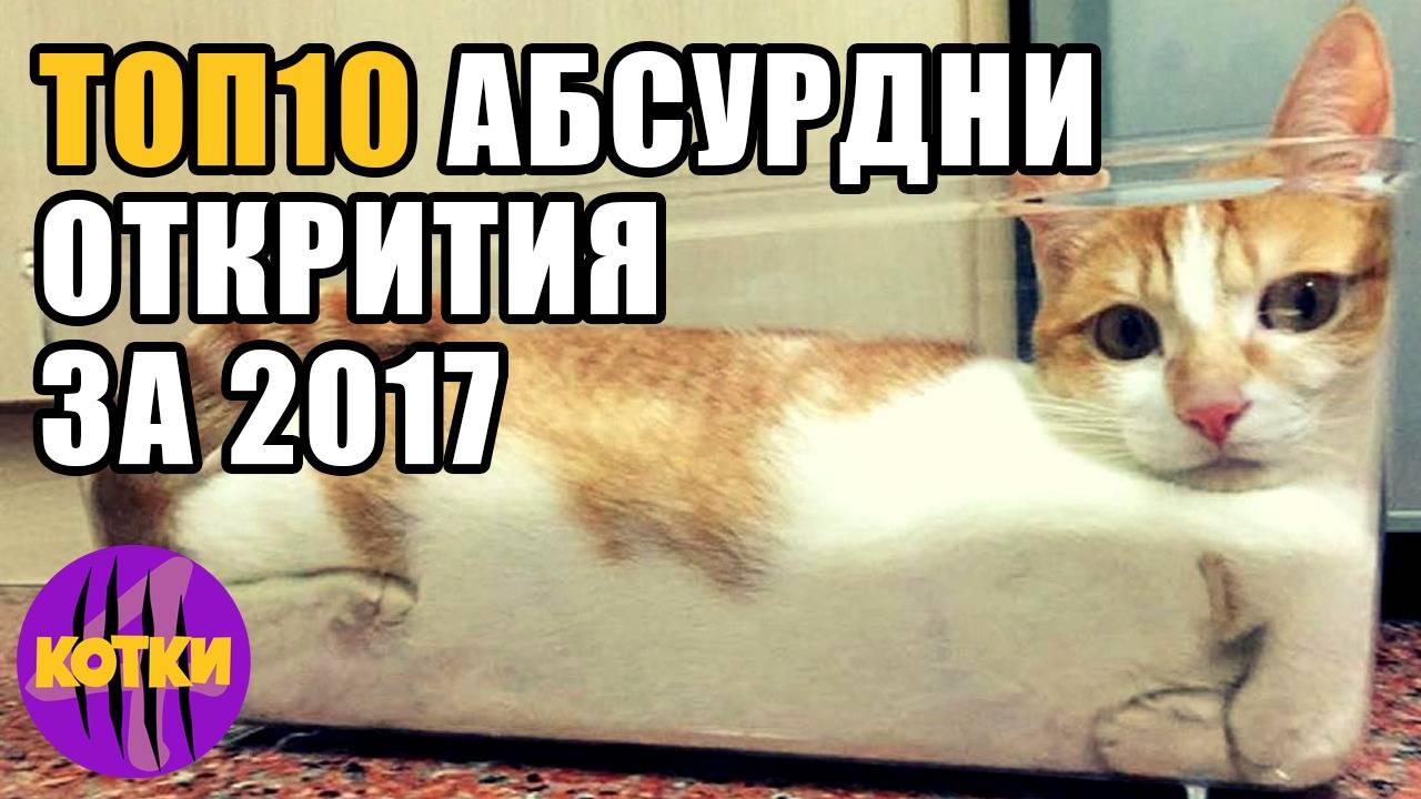 Top 10 Най-абсурдните открития и награди за 2017