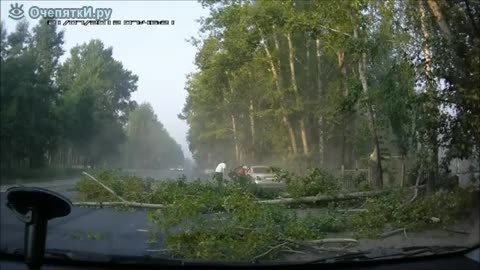 Мерцедес се разбива в дърво.
