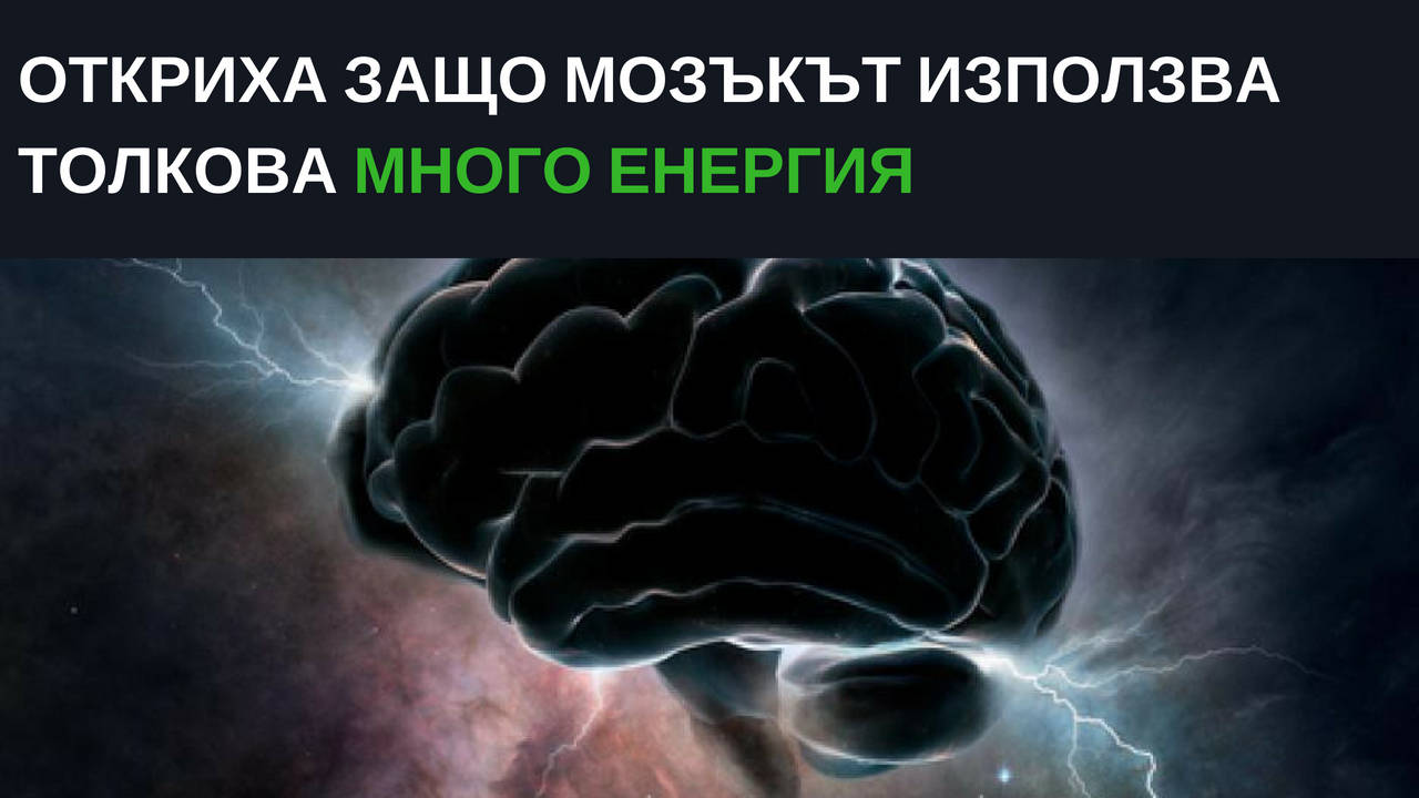 Откриха защо мозъкът използва толкова много енергия