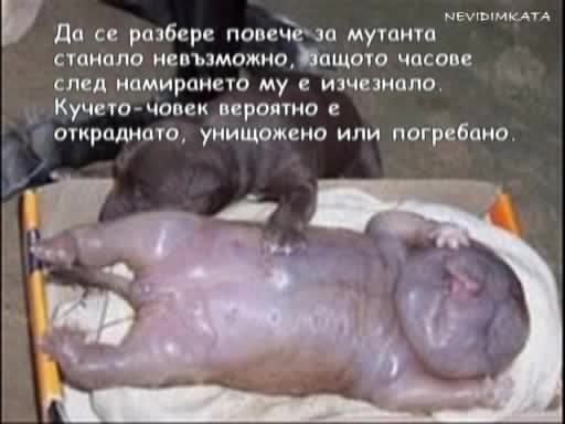 Шок! - Мутанта Куче - Човек!